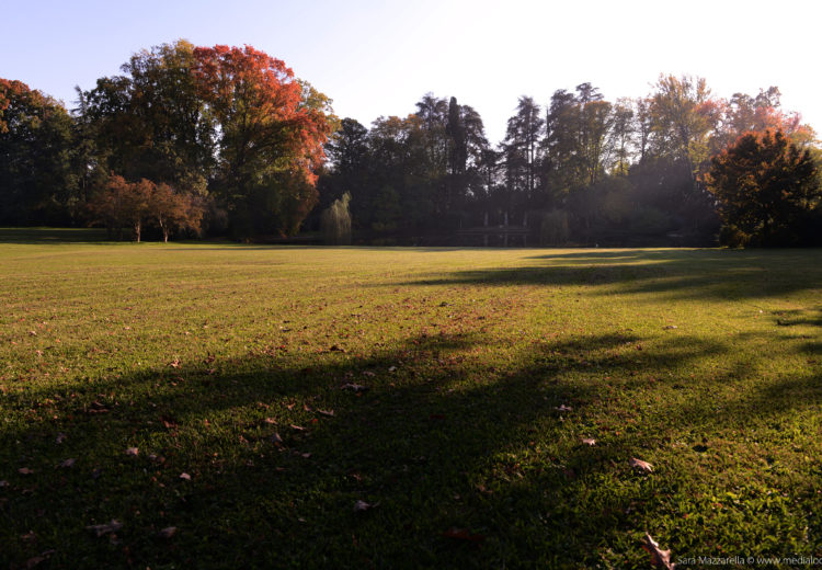 il parco in autunno - Villa Reale Marlia