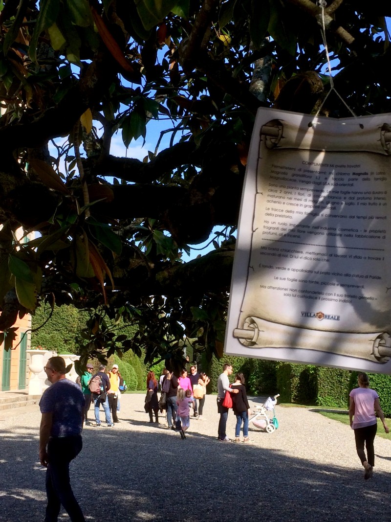 Pasquetta Caccia Al Tesoro Botanico Villa Reale Di Marlia