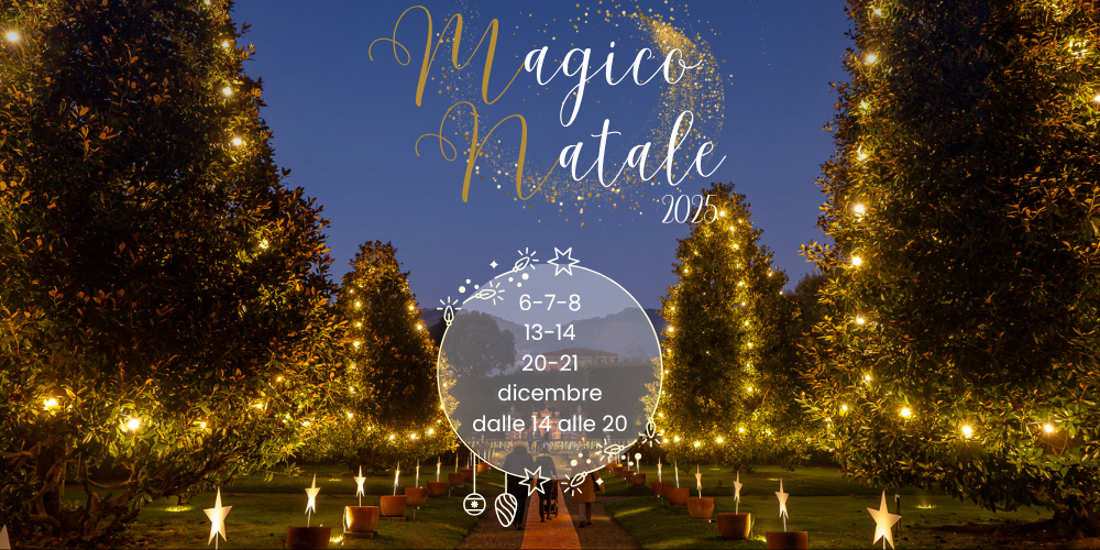 Banner sito - Magico Natale 2025