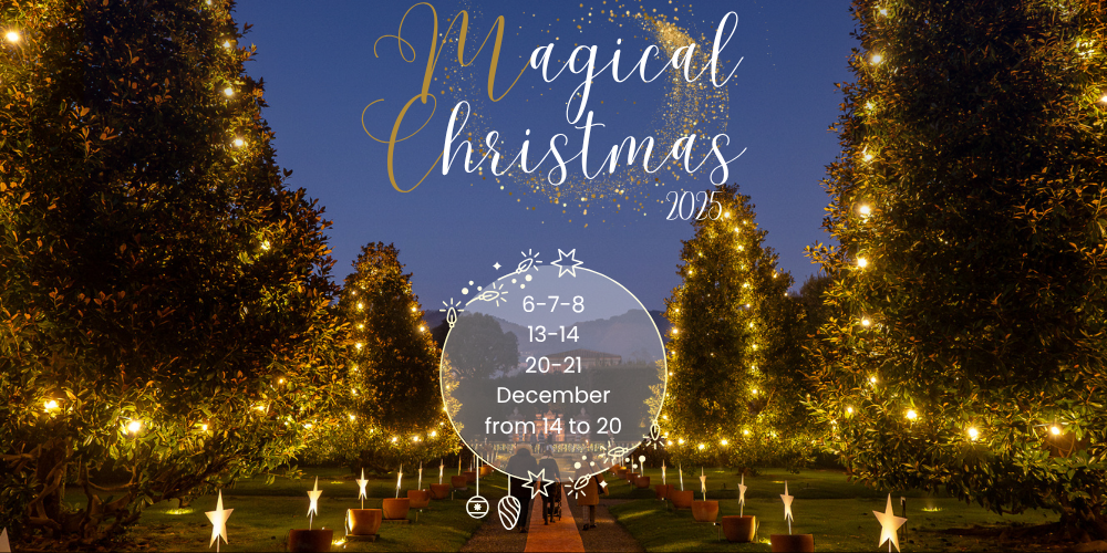 Banner sito - Magico Natale 2025 ENG