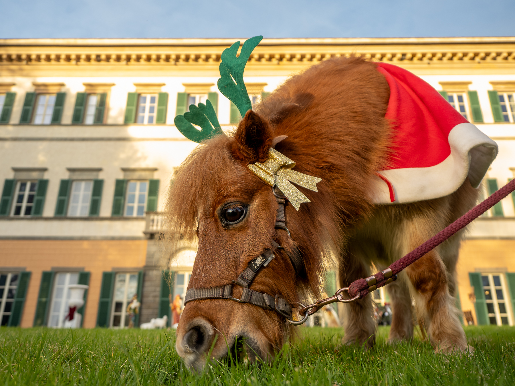 Magico Natale di Villa Reale di Marlia 2025 Foto di Giuseppe Panico (2)
