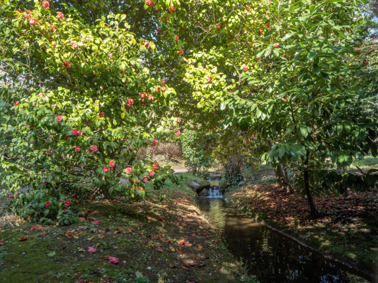 APERTURA STRAORDINARIA FEBBRAIO 2024