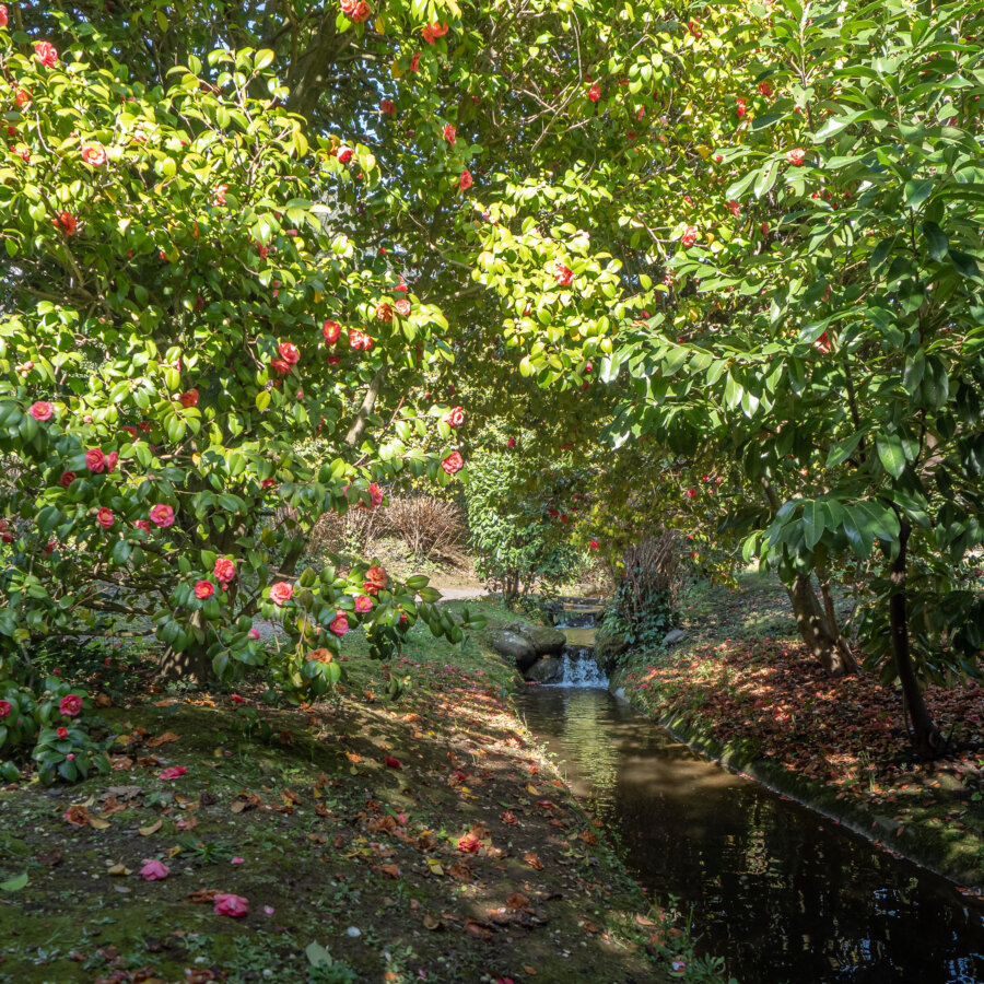 APERTURA STRAORDINARIA FEBBRAIO 2024
