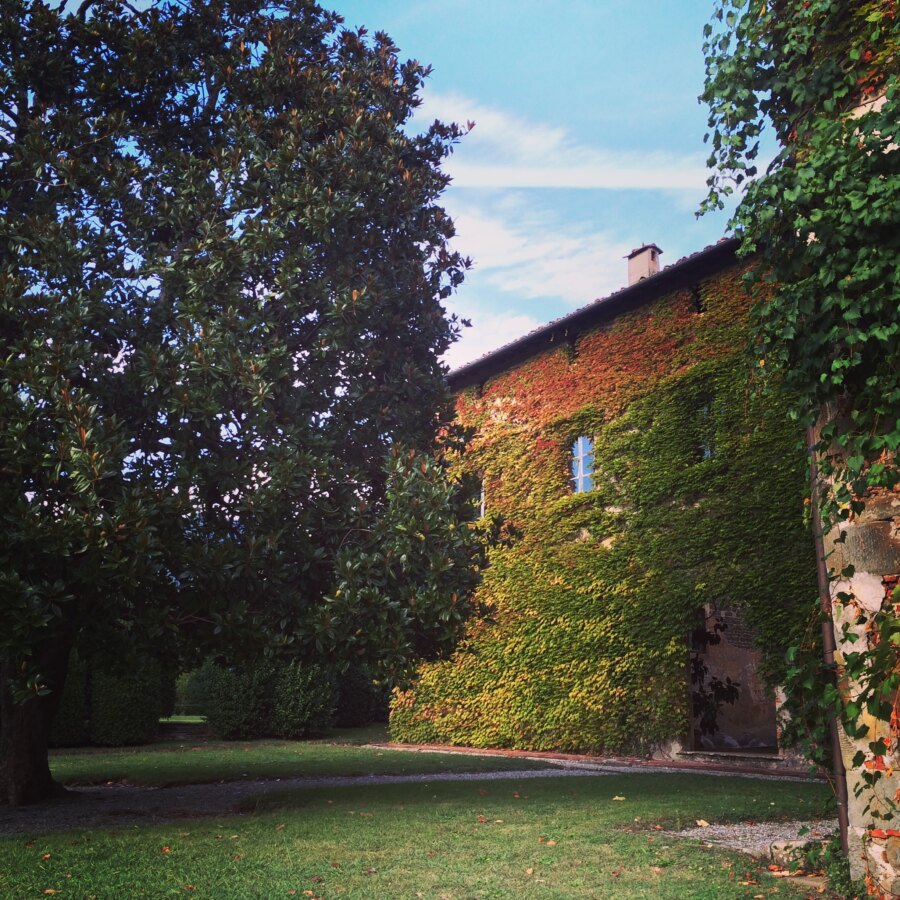 scorcio di villa reale di marlia