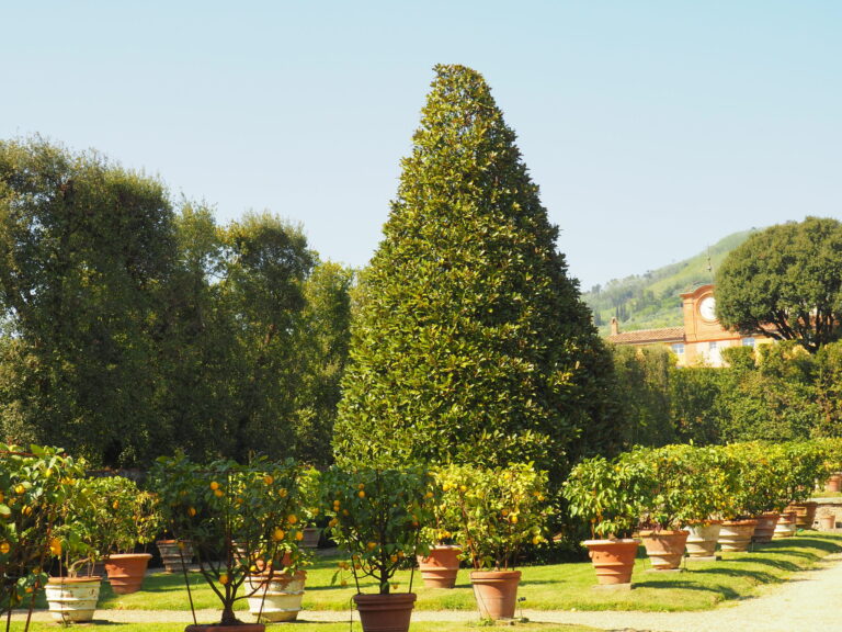 Toscana: Villa Reale riapre e riparte con le guide del territorio