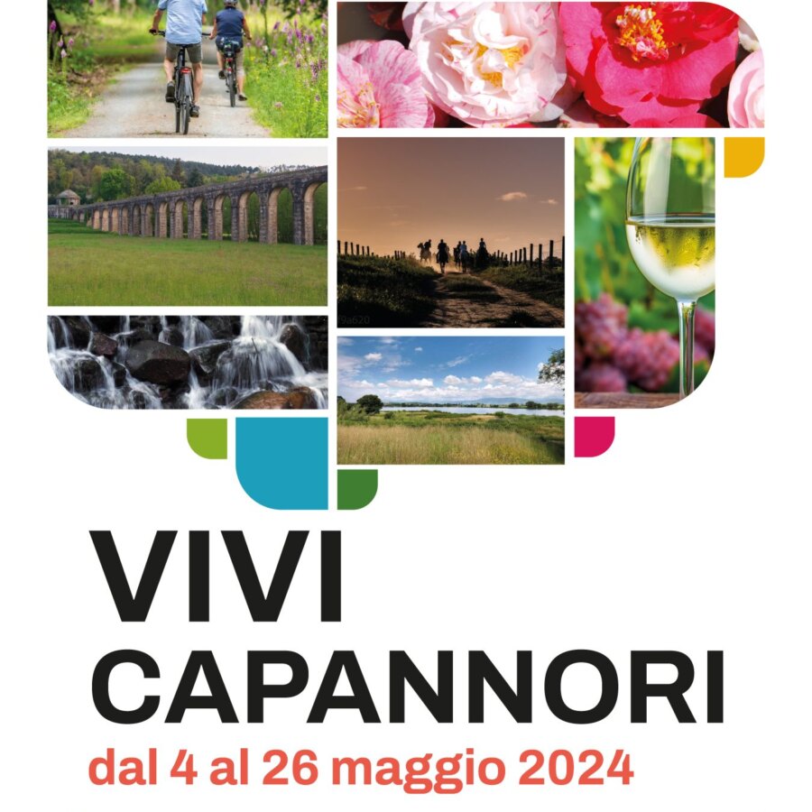Vivi Capannori 2024