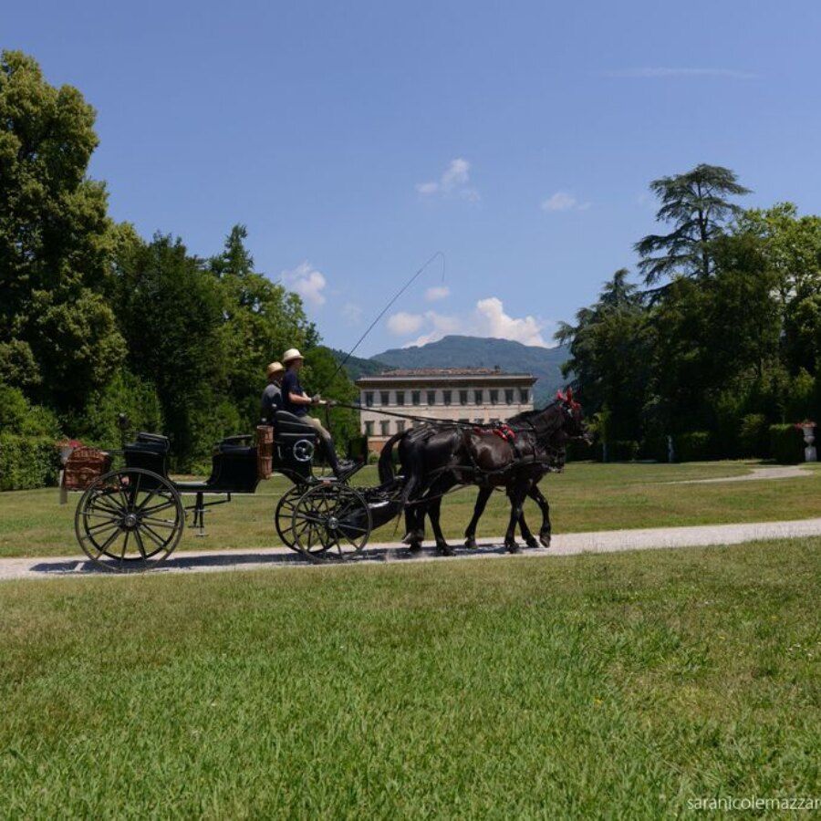 in carrozza a Villa Reale