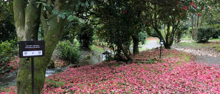 Le Parcours Olfactif