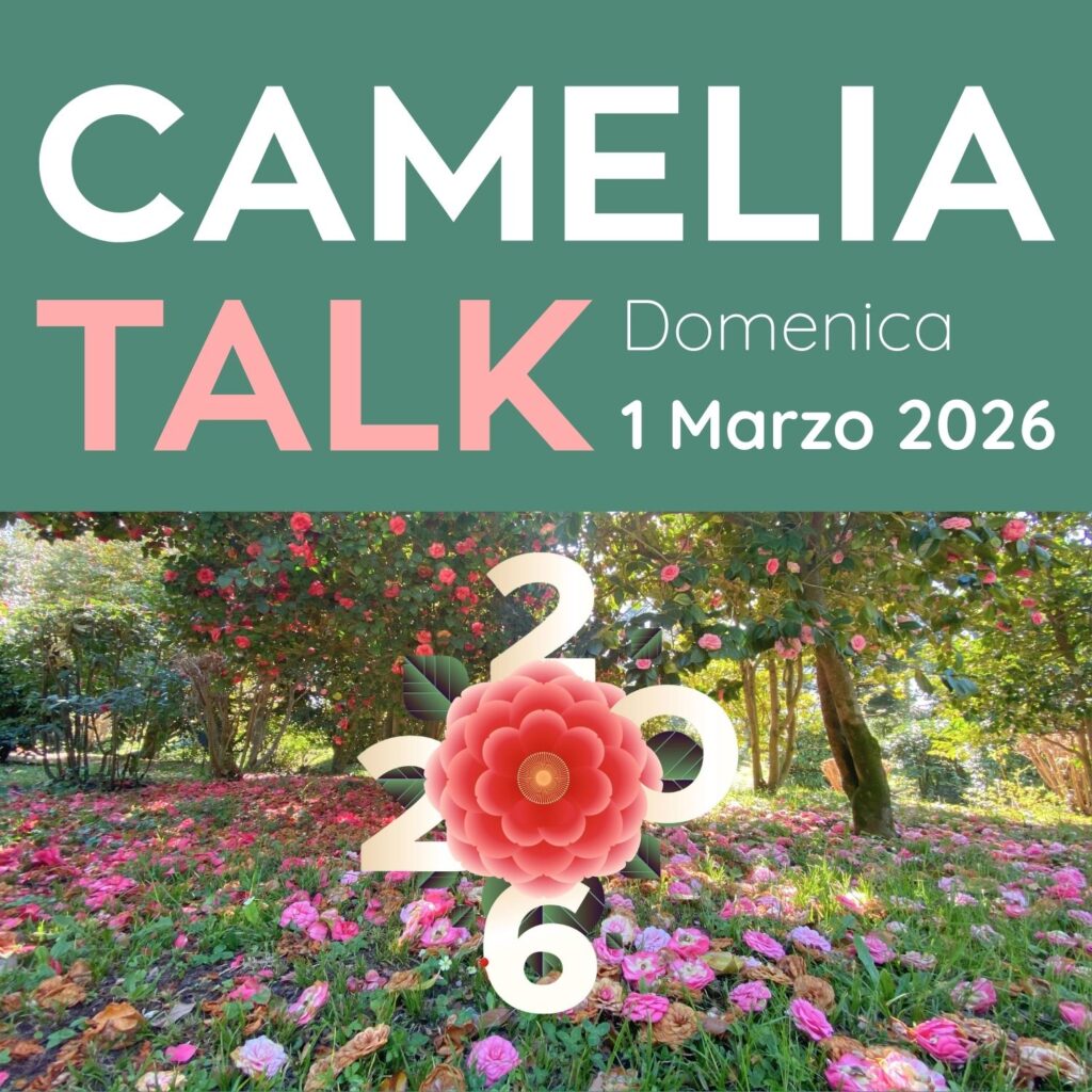 4 Icona sito-Camelia Talk
