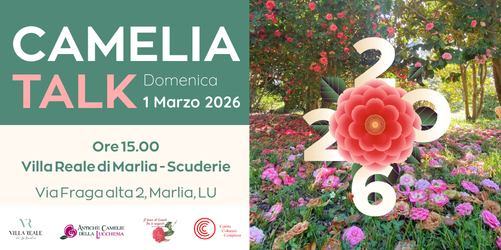 Banner sito-Camelia Talk