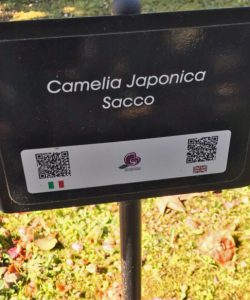 QRcode viale delle camelie